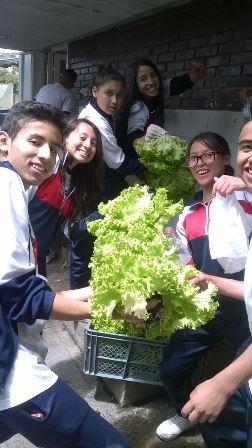 huerta7