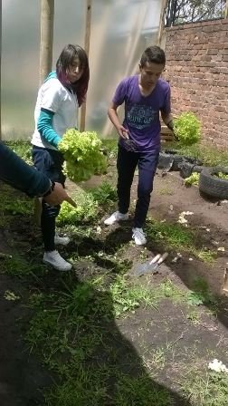 huerta9