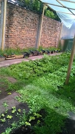 huerta3