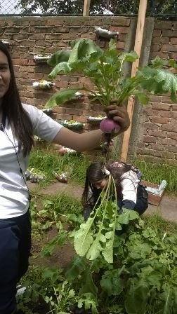 huerta5