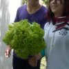 huerta1