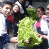huerta7