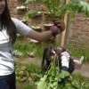 huerta5